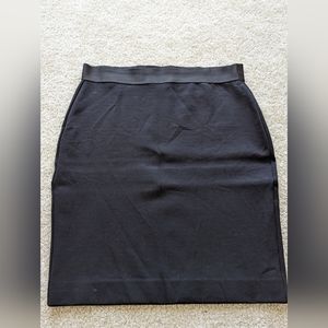 Everlane Stretchy Skirt